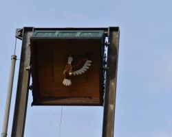 image046