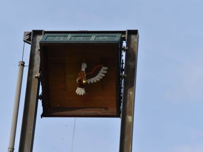 image046