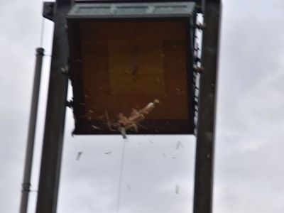 image094